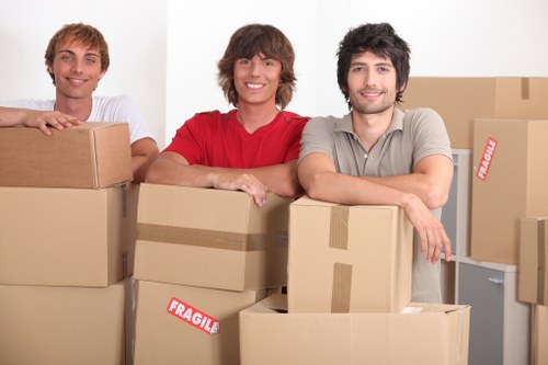 Experienced Move Van team assisting with packing